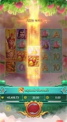 bw777 · Lgd Monkey Kg